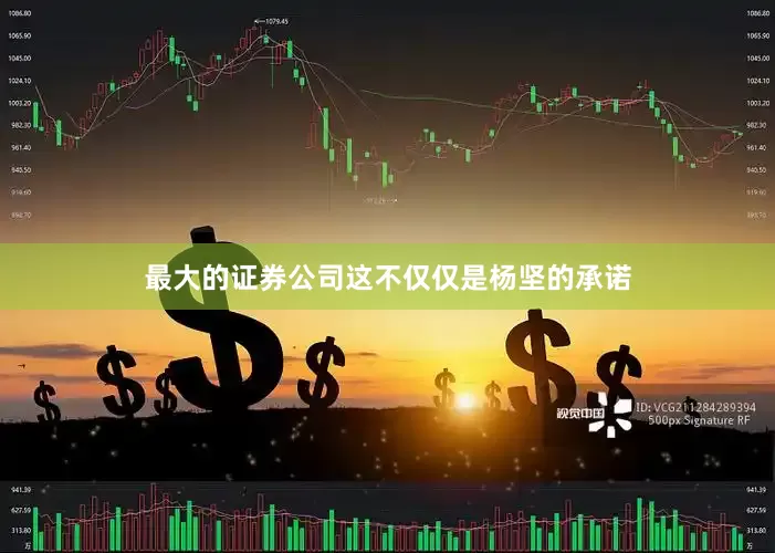 最大的证券公司这不仅仅是杨坚的承诺