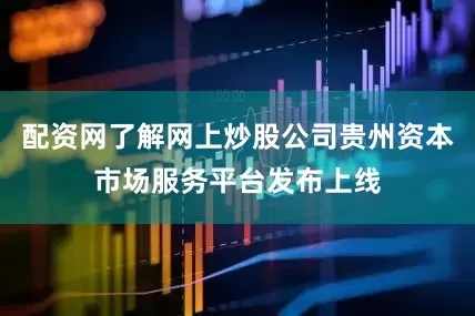 配资网了解网上炒股公司贵州资本市场服务平台发布上线
