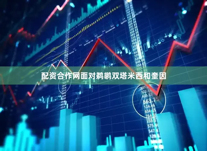 配资合作网面对鹈鹕双塔米西和奎因